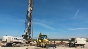 pilotes planta quinoa